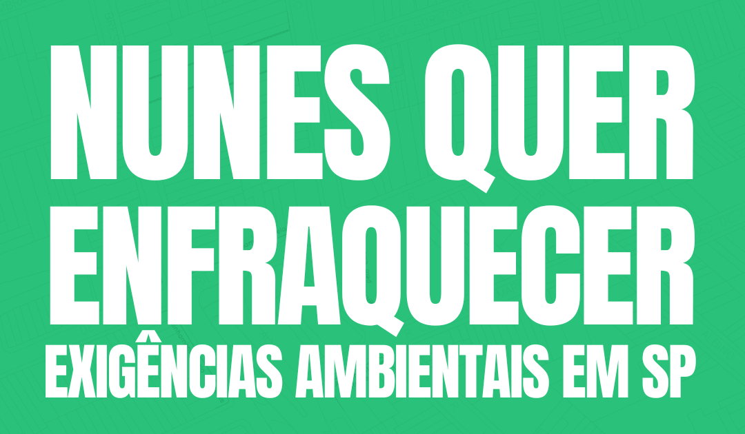 Revisão da Lei de Zoneamento enfraquece exigências ambientais em SP